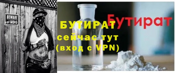 прущие грибы Новозыбков