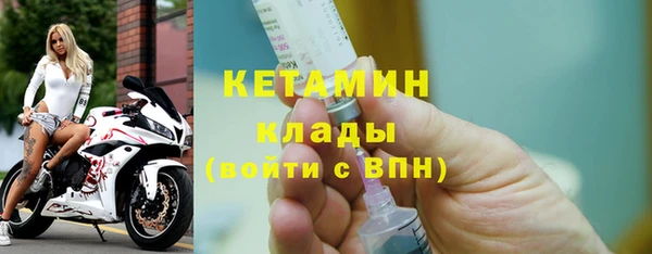 прущие грибы Новозыбков