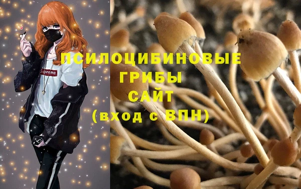 мдма Корсаков