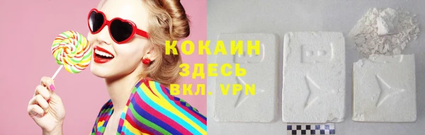 прущие грибы Новозыбков