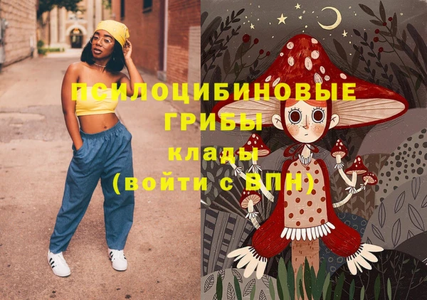 МДПВ Липки