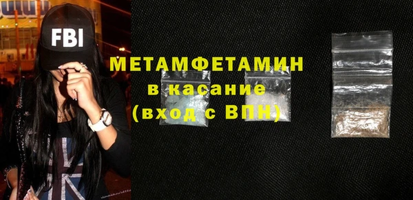 прущие грибы Новозыбков