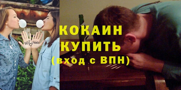 прущие грибы Новозыбков
