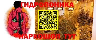 амф Донецк