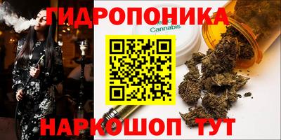 спиды Бийск