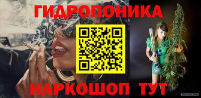 спиды Бийск