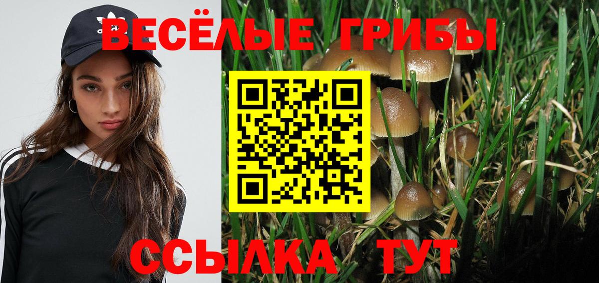 Галлюциногенные грибы мицелий  Вход с VPN  купить   Кропоткин 